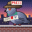 Scoop, the BYLINE pigeon, on a rooftop at dawn